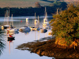 Boats on Kingsbridge Estuary at East Portlemouth  Evening  Salcombe  Devon  England