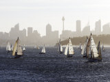 Yachts on Sydney Harbour in Late Afternoon