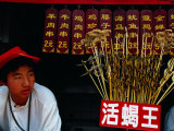 Starfish  Scorpions and Other Snacks for Sale  Wangfujing Dajie  Beijing  China