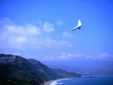Hang Gliding at Fort Funston  San Francisco  California