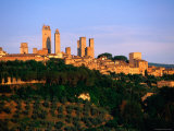 Trees and Buildings of Town at Sunrise  San Gimignano  Tuscany  Italy