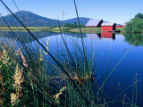 Fall River and Farm Buildings Near Glenburn  Mt Shasta  California