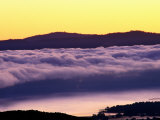 Mist Rolling over Vineyards  Napa  California