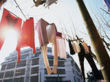 Morning Laundry  Shanghai  China