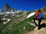 Hiker Enjoying View with Mountain in Distance  Vanoise National Park  Rhone-Alpes  France