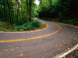 Curve in Road of Highway 32  Great Smoky Mountains National Park  Tennessee