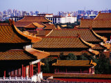 Tiled Roofs of Forbidden City from Jingshan Park  Beijing  China