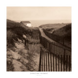 Dune Fence
