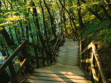 Stairs to Ocean at Mons Klint  Mon  Storstrom  Denmark