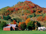 Farm Surrounded by Autumn Foliage  Near St Johnsbury  St Johnsbury  Vermont