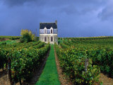 House in a Vineyard  Loire Valley  Chinon  Centre  France
