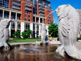 Fountain at the Green  Downtown  Charlotte  North Carolina