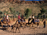 Camel Riding on the Sandy Bed of Todd River at Heavitree Gap South of Alice Springs  Australia