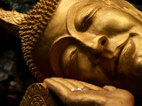Sleeping Buddha Head with Frangipani Petals in Open Palm  Luang Prabang  Laos