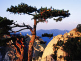 Trail Between East Peak and South Peak  Hua Shan  Shaanxi  China
