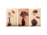 Floral Silhouettes Triptych