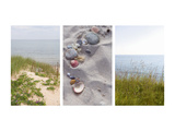 Shells and Dunes Triptych
