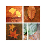 Leaves Arrangement Four Patch