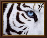 Blue Eyes
