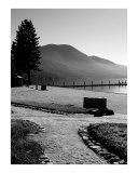 Lake Tahoe Shore
