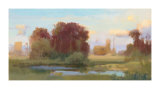 Soft Evening