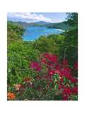 Tropical Colors of Saint John  US Virgin Islands