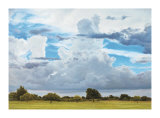 Thunderhead
