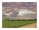 Backroad