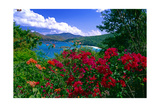 Colorful Caribbean View  St John  Virgin Islands