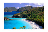 Trunk Bay Beach  St John  US Virgin Islands