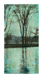 The Arbor II