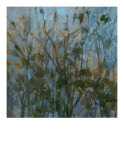 Rhapsody I