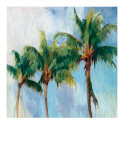 Three Palms