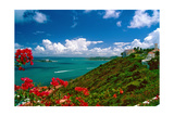 Caribbean Panorama  Fajardo  Puerto Rico