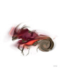 Capricorn