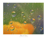 Drops of Spring