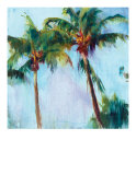 Winter Palm