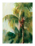 Quiet Palm