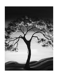 Black Tree