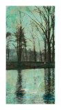 The Arbor I