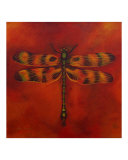 Dragonfly Michan