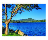 Absolute Peace at Lake Placid