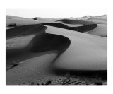 Desert Near Dubai