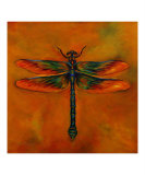 Dragonfly Zoe