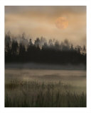 Misty Moonscape