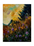 Cornflowers Yellow Purple