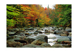 Autumn Colors  Lost River  New Hampshire