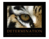 Determination - Eye of the Tiger