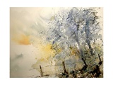 Watercolor 240505