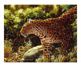 On The Prowl